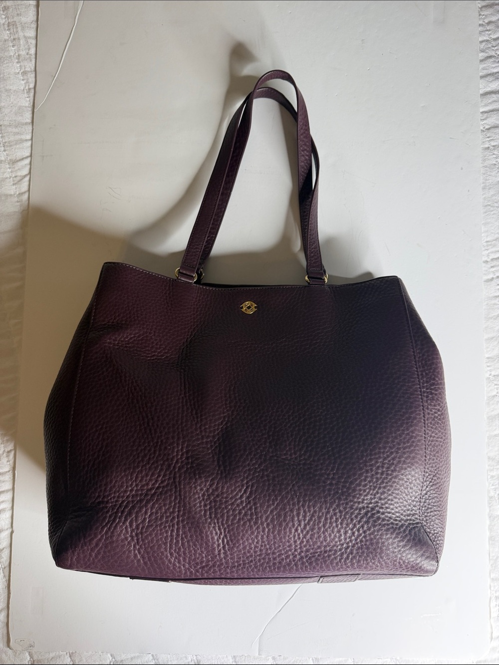 Dagne Dover Allyn Medium  Leather Tote in oxblood